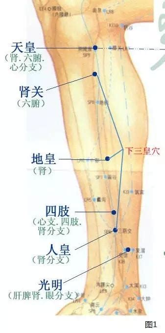 三皇穴位置